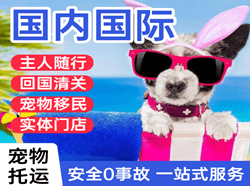 布尔津喀纳斯机场物流国际宠物托运 【国
